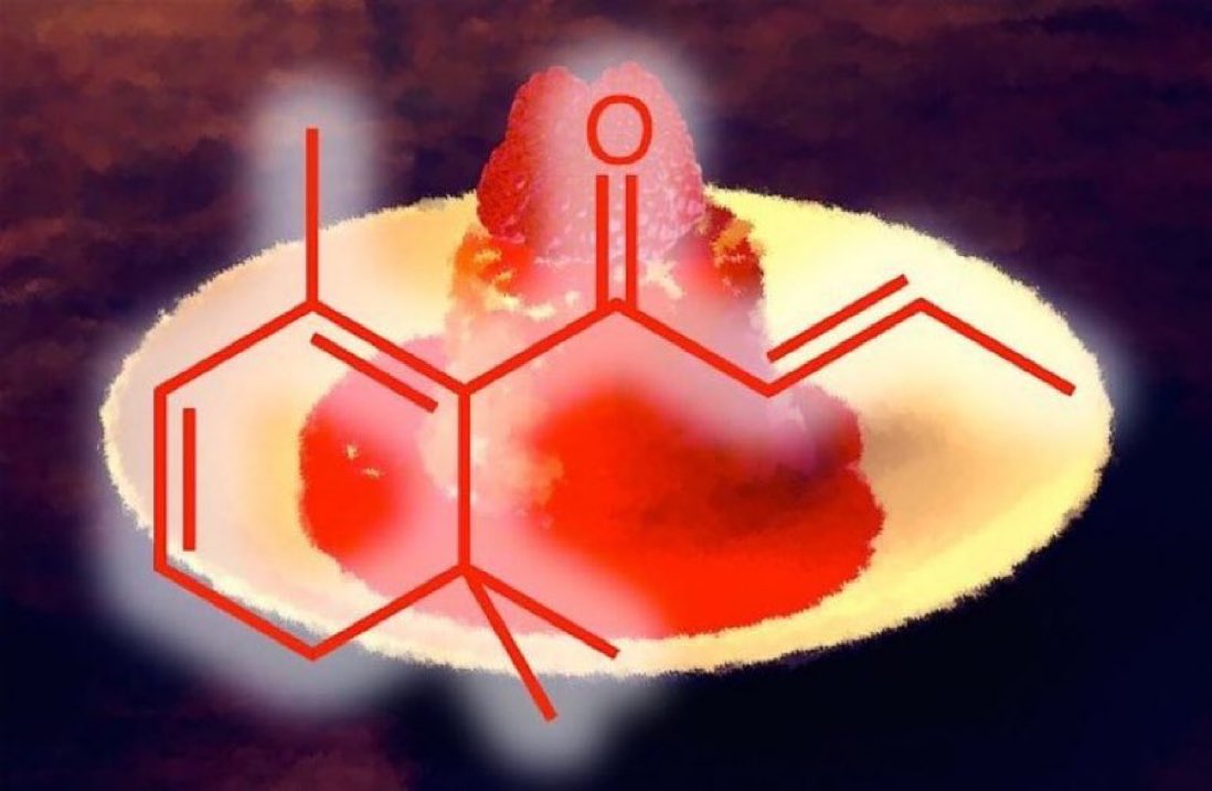 eedcAndy's tweet photo. Chill out on #RaspberryBombeDay! Bombes usually inc a dash of rum - traditionally produced in the Caribbean, rum is a spirit made by fermenting cooked sugar cane juice & molasses. A key volatile is beta-damascenone (floral-fruity) also in roses/used in perfumery #bethereinspirit https://t.co/KWh8FDMni9