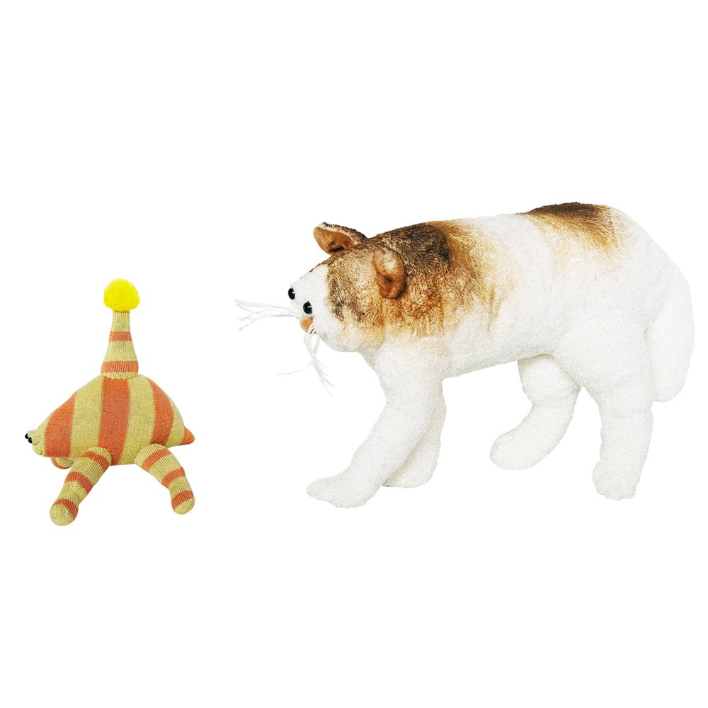 【ピオニーをねらう猫】
すばしっこいピオニーを狙うのは、猫の「クリームパフ」。
ピオニーはまだ気づいていません。

【Cat Hunting a Piony】
Cream Puff the cat is hunting a quick Piony.
But the Piony hasn't noticed it yet.