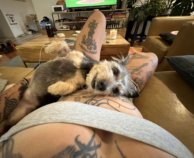 me when someone says &ldquo;act normal&rdquo; https://t.co/LBcQxyUmjM