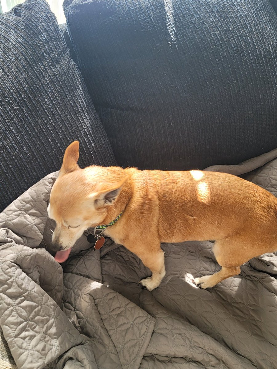 Rachmtbs (@rachmtbs) on Twitter photo 