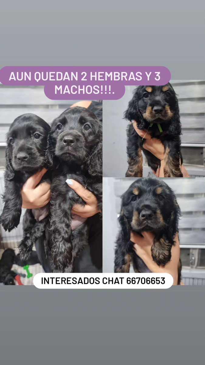 interesados!!!