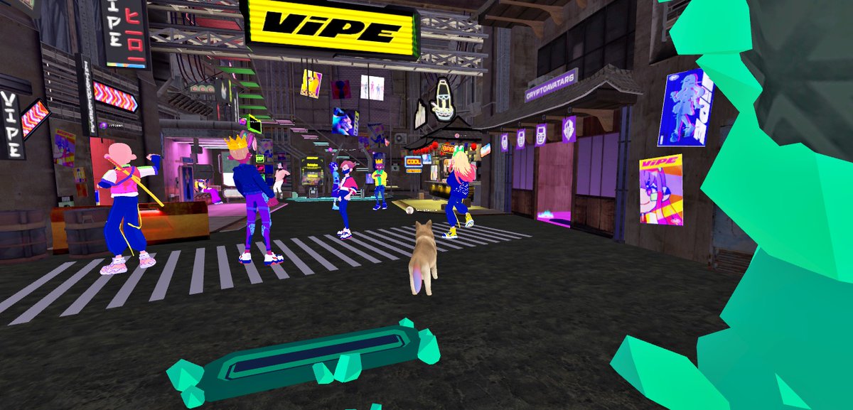 ExistentialNoHo's tweet photo. @vipeio The @vipeio build for reroll with @_0xQuan in @oncyber  There seems to be a stray dog running around be careful.  @Petaverse_wear https://t.co/a0E4HfyuIY