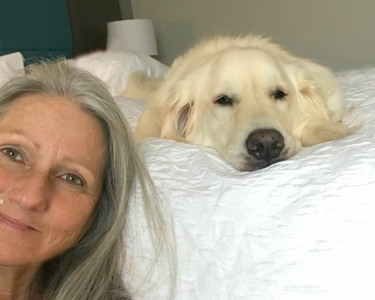 sampson_dog's tweet photo. Travel boundaries part 2: We make our own hotel reservations. Mom had many broken bones and gets sore at night. We get a King size bed to share. She stretches out and gets more sleep. Due to hyper-arousal/reactivity, we get an upper floor, the end of the hallway minimizing noise. https://t.co/gHIyYm84me