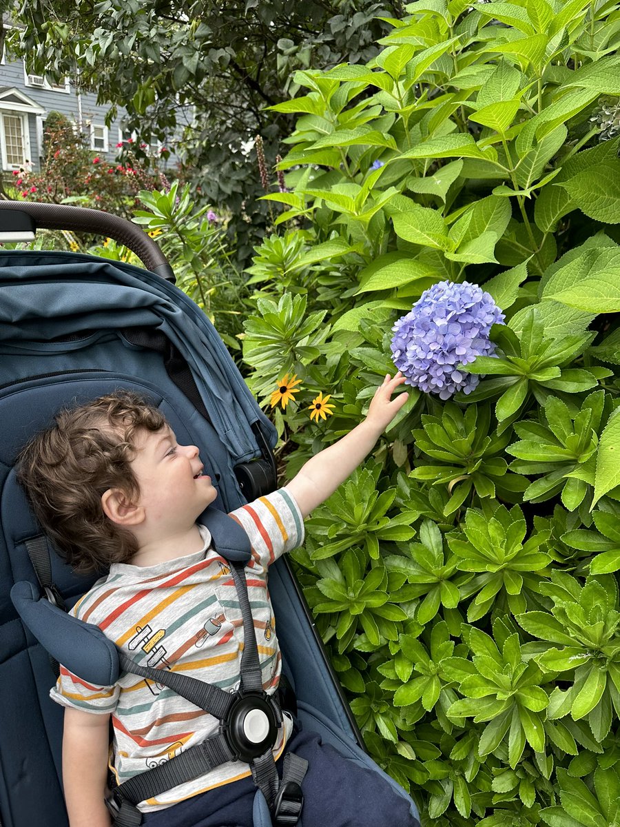 Dr. Fran Bigman tweet media