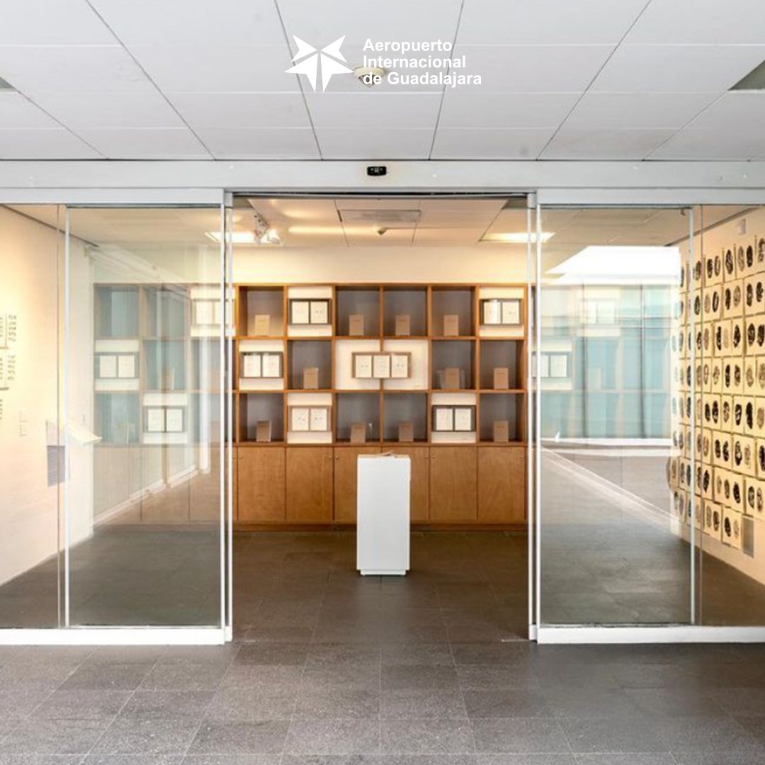 Aeropuerto_GDL's tweet photo. 🏛️🎭 Ve y descubre el Museo de Arte de Zapopan, un espacio donde las ideas se convierten en creaciones y las emociones se plasman en lienzos. Sumérgete en un mundo de talento y pasión que te dejará asombrado. https://t.co/CvKFk7376A