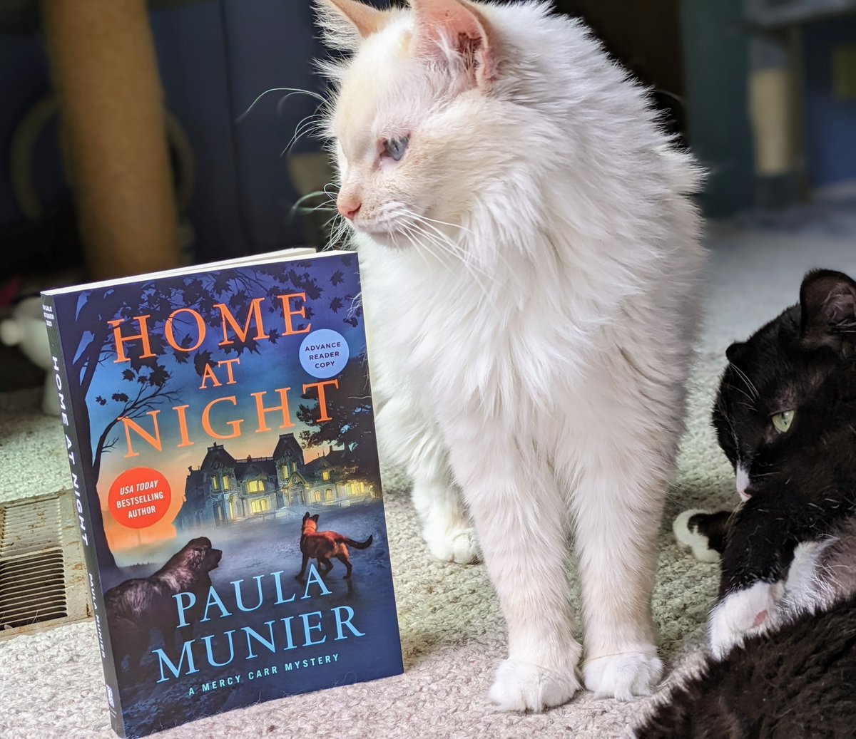 How cool is the cover of the new @PaulaSMunier book, #HomeAtNight? A haunted manor at Grackle Tree Farm, a dead body in the library, and a masked murderer hiding among Halloween revelers and treasure hunters. It's up to Mercy Carr to track the killer down! #CatsOfTwitter #mystery