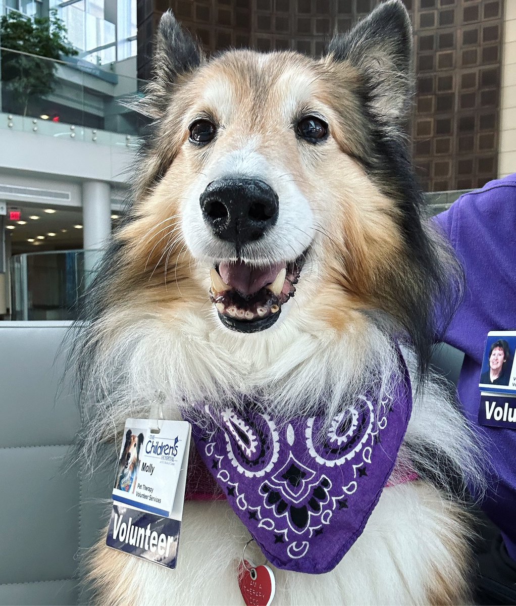 Who let the dogs in? The @Okla_Childrens volunteer dogs joined facility dogs for a Dog Days of Summer event yesterday! The camping theme had one facility dog dressed as a hot dog & one as a banana split!! Which would you rather eat? Me? Ice cream! ❤️🐾❤️ #mollygirltherapydog