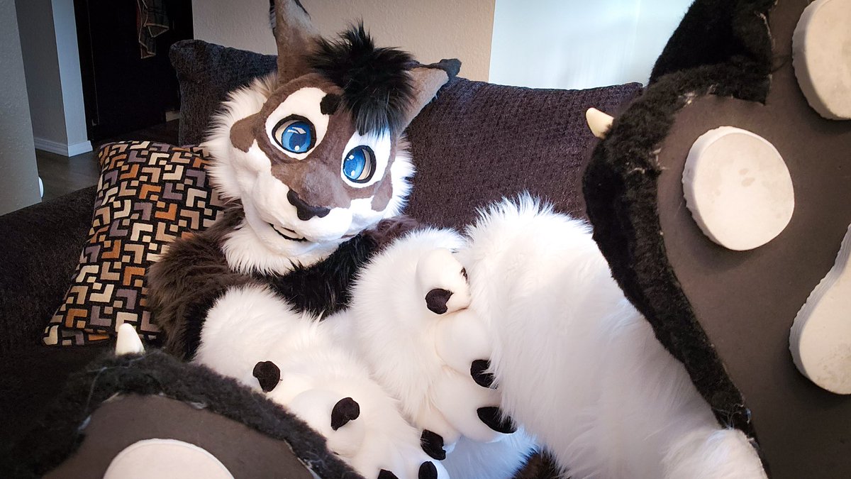 Gengi Cabbit tweet media