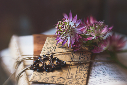 While such trading bots have existed for years, they've recently gained attention as crypto markets gain and associated bot tokens have gained in price, blockchain security firm CertiK told Cointelegraph.