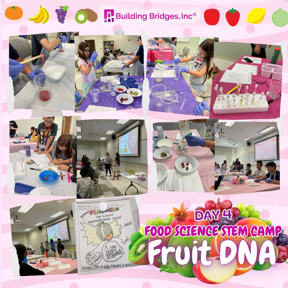 Harper College students dive into the captivating world of fruit DNA, extracting genetic secrets through hands-on exploration.
#STEM #Harpercollege #FoodCamp #FruitDNA