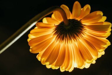 Quinn 💛(G.Quinn Rogers) (@quinnqueens) on Twitter photo <a href="/DrNikolova_Rumi/">Rumiana Nikolova ®️💗</a> <a href="/nuvisionquestt2/">🦅Nu_Vision_Quest_Type2🏹</a> <a href="/sasha_stana/">𝕷𝖊𝖓𝖆 🦋🌹🇩🇪𝕾𝖊𝖗𝖎𝖊𝖘 𝕱𝖆𝖓𝖘</a> <a href="/nena_bovb51/">Nena</a> @BreakingKind <a href="/yelarvel/">*♋️Hecate♋️💞🌻🌷🌹💞</a> <a href="/mamiRD_/">🇩🇴mamiRD_ #LoveDeMami❤ AmigosDe❤</a> <a href="/Jilliemary/">Jillian Peeling</a> <a href="/EmpressD007/">EmpressD007 (Deb)</a> <a href="/AngelickaStrada/">Angélica Strada Gallegos</a> <a href="/musfaca/">M.Fatih Çalıkoğlu</a> <a href="/ManishP78396947/">Manish Pardeshi</a> <a href="/JuanSGE/">juan sebastian</a> <a href="/jclockyer/">Jamie Lockyer🇨🇦</a> FØŁŁØω ➳ #TmKindness 🎀
<a href="/DrNikolova_Rumi/">Rumiana Nikolova ®️💗</a>
<a href="/musfaca/">M.Fatih Çalıkoğlu</a>
<a href="/nuvisionquestt2/">🦅Nu_Vision_Quest_Type2🏹</a>
<a href="/sasha_stana/">𝕷𝖊𝖓𝖆 🦋🌹🇩🇪𝕾𝖊𝖗𝖎𝖊𝖘 𝕱𝖆𝖓𝖘</a>
<a href="/nena_bovb51/">Nena</a>
<a href="/yelarvel/">*♋️Hecate♋️💞🌻🌷🌹💞</a>
@BreakingKind
<a href="/AngelickaStrada/">Angélica Strada Gallegos</a>
<a href="/Jilliemary/">Jillian Peeling</a>
<a href="/JuanSGE/">juan sebastian</a>
<a href="/ManishP78396947/">Manish Pardeshi</a>
<a href="/tripletsfan19/">Rick</a>
<a href="/MagDivina/">🌹Mag Divina ❤</a>
<a href="/jet_new/">ⓙⓝ ʝɛt_ռɛա</a>
<a href="/mamiRD_/">🇩🇴mamiRD_ #LoveDeMami❤ AmigosDe❤</a>
<a href="/GFBS17/">👦#Gust `s TFBS</a>
<a href="/jclockyer/">Jamie Lockyer🇨🇦</a>
<a href="/EmpressD007/">EmpressD007 (Deb)</a>
<a href="/___B4U/">B!£^£</a>
<a href="/vinaymishra1961/">VINAY</a> <a href="/DrNikolova_Rumi/">Rumiana Nikolova ®️💗</a> <a href="/nuvisionquestt2/">🦅Nu_Vision_Quest_Type2🏹</a> <a href="/sasha_stana/">𝕷𝖊𝖓𝖆 🦋🌹🇩🇪𝕾𝖊𝖗𝖎𝖊𝖘 𝕱𝖆𝖓𝖘</a> <a href="/nena_bovb51/">Nena</a> @BreakingKind <a href="/yelarvel/">*♋️Hecate♋️💞🌻🌷🌹💞</a> <a href="/mamiRD_/">🇩🇴mamiRD_ #LoveDeMami❤ AmigosDe❤</a> <a href="/Jilliemary/">Jillian Peeling</a> <a href="/EmpressD007/">EmpressD007 (Deb)</a> <a href="/AngelickaStrada/">Angélica Strada Gallegos</a> <a href="/musfaca/">M.Fatih Çalıkoğlu</a> <a href="/ManishP78396947/">Manish Pardeshi</a> <a href="/JuanSGE/">juan sebastian</a> <a href="/jclockyer/">Jamie Lockyer🇨🇦</a> FØŁŁØω ➳ #TmKindness 🎀
<a href="/DrNikolova_Rumi/">Rumiana Nikolova ®️💗</a>
<a href="/musfaca/">M.Fatih Çalıkoğlu</a>
<a href="/nuvisionquestt2/">🦅Nu_Vision_Quest_Type2🏹</a>
<a href="/sasha_stana/">𝕷𝖊𝖓𝖆 🦋🌹🇩🇪𝕾𝖊𝖗𝖎𝖊𝖘 𝕱𝖆𝖓𝖘</a>
<a href="/nena_bovb51/">Nena</a>
<a href="/yelarvel/">*♋️Hecate♋️💞🌻🌷🌹💞</a>
@BreakingKind
<a href="/AngelickaStrada/">Angélica Strada Gallegos</a>
<a href="/Jilliemary/">Jillian Peeling</a>
<a href="/JuanSGE/">juan sebastian</a>
<a href="/ManishP78396947/">Manish Pardeshi</a>
<a href="/tripletsfan19/">Rick</a>
<a href="/MagDivina/">🌹Mag Divina ❤</a>
<a href="/jet_new/">ⓙⓝ ʝɛt_ռɛա</a>
<a href="/mamiRD_/">🇩🇴mamiRD_ #LoveDeMami❤ AmigosDe❤</a>
<a href="/GFBS17/">👦#Gust `s TFBS</a>
<a href="/jclockyer/">Jamie Lockyer🇨🇦</a>
<a href="/EmpressD007/">EmpressD007 (Deb)</a>
<a href="/___B4U/">B!£^£</a>
<a href="/vinaymishra1961/">VINAY</a>