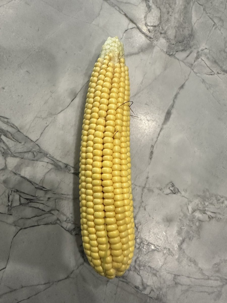 Bodie Kitchel tweet media