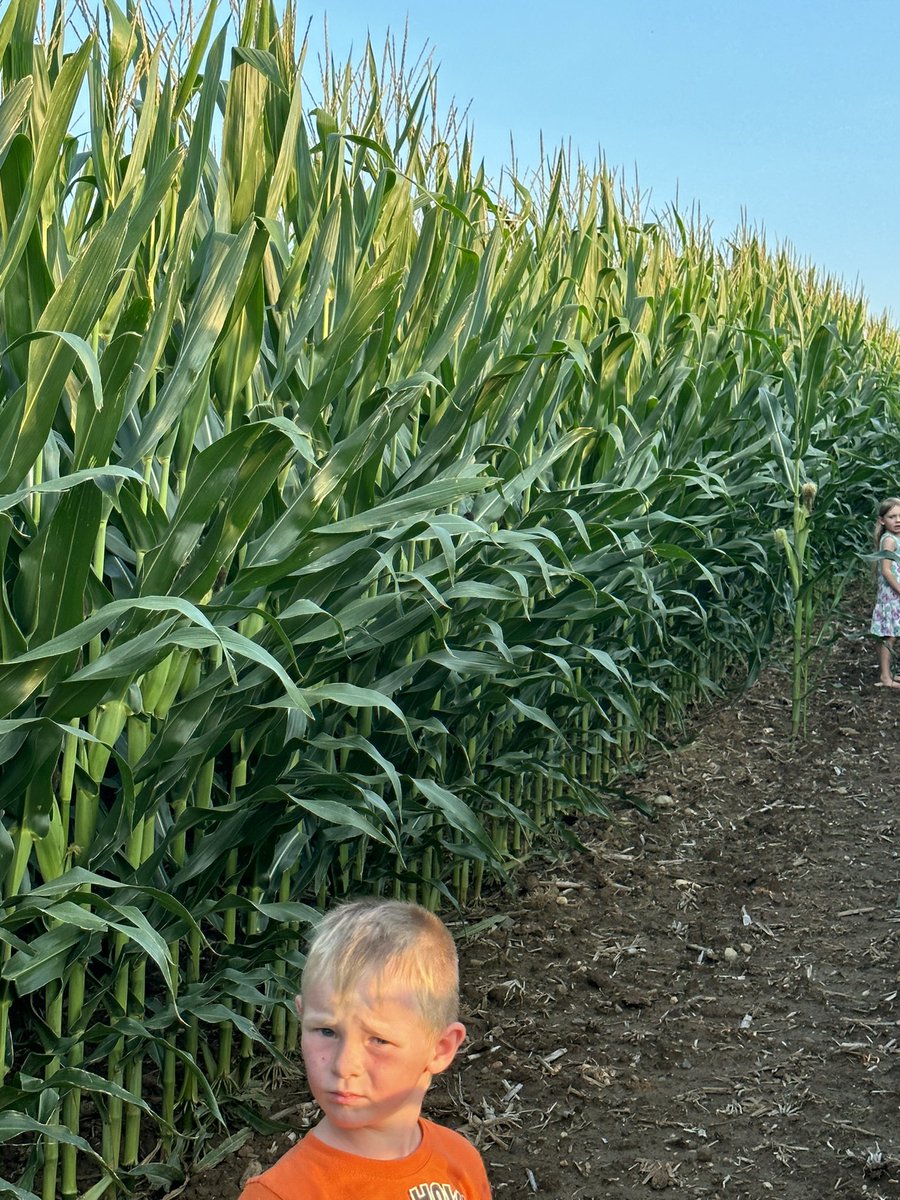 Bodie Kitchel tweet media