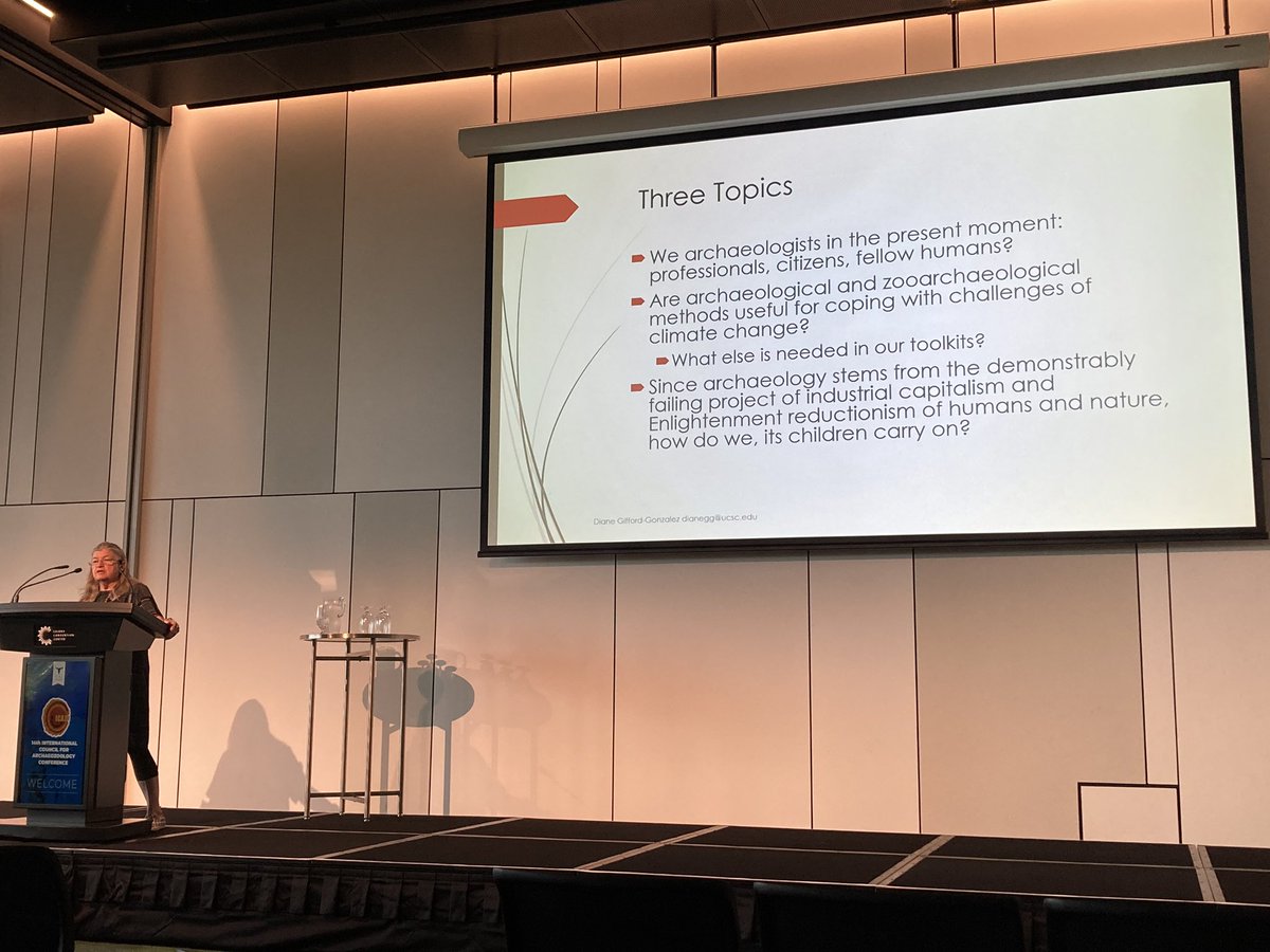 Zoë van Litsenburg tweet media