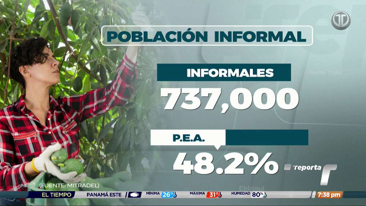 TReporta's tweet photo. La falta de experiencia y pocas oportunidades empuja a miles de jóvenes hacia la informalidad. "Una vez en una entrevista me dijeron que estaba sobrevalorada para el salario que me iban a dar, que si lo iba a tomar; Les dije que lo que me importaba era la experiencia", declaró María de los Ángeles, graduada desde hace cuatro años, quien no pierde la esperanza de conseguir empleo. #TReporta
