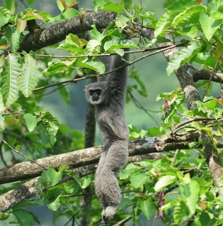 swaraOwa's tweet photo. #pressrelease Satu dekade #owajawa di lanskap pegunungan dieng, Jawa Tengah
https://t.co/62d59JSK0o https://t.co/mMYKjrQvbp