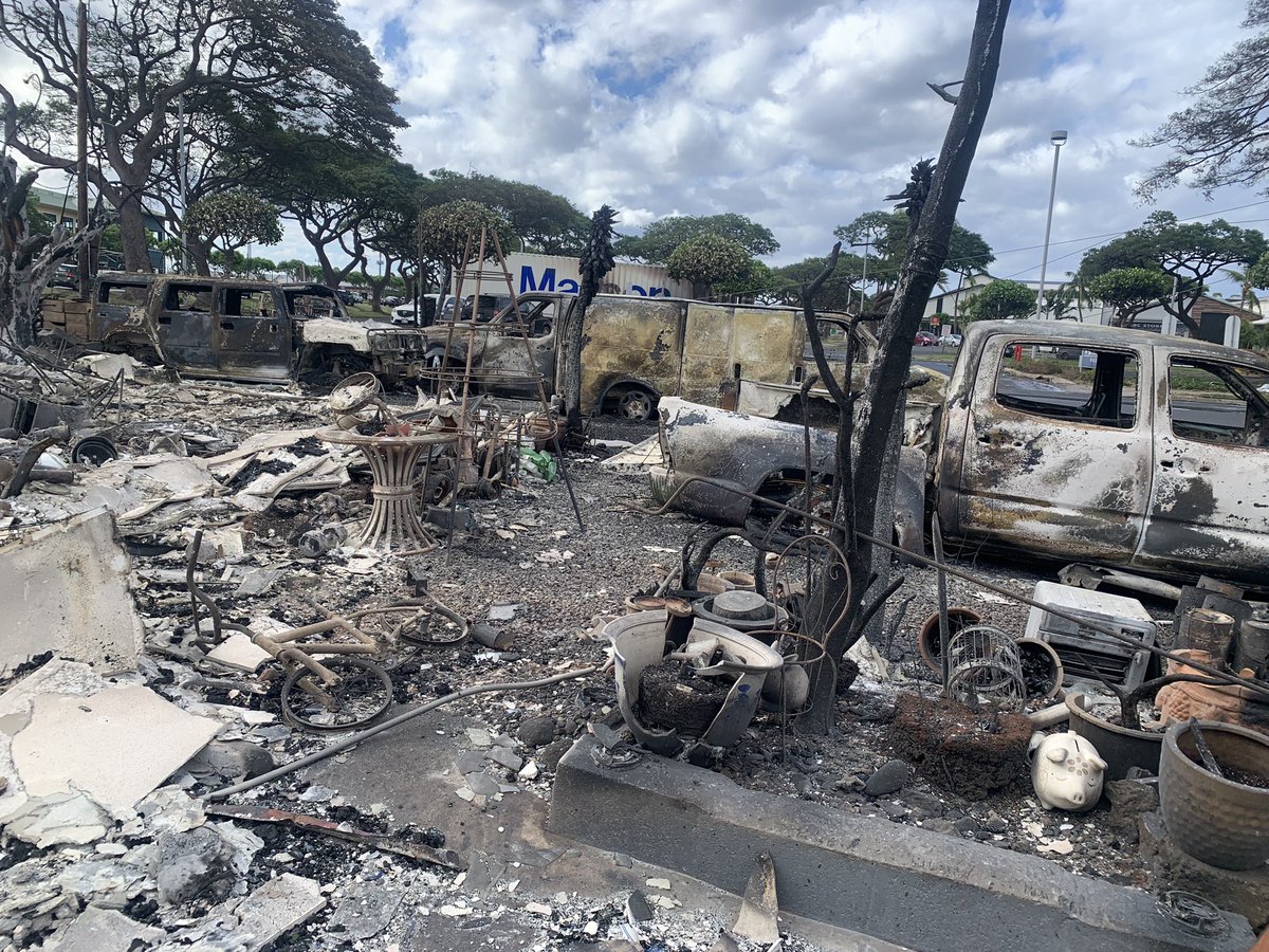 This is my home and all I own