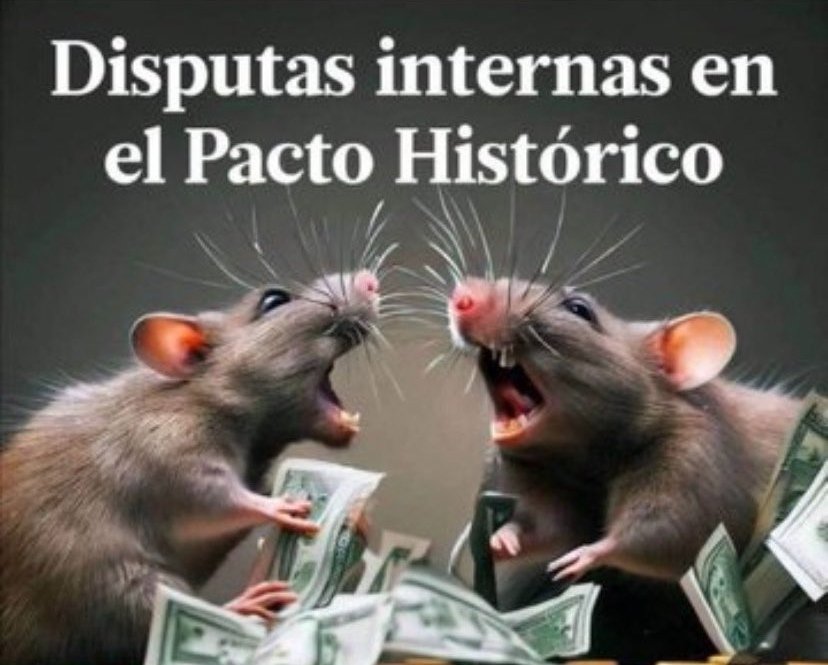 Carlos Julio Ardila tweet media