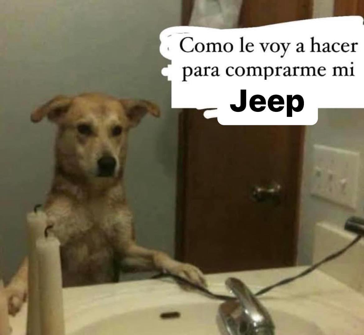 maryloligarzaa_'s tweet photo. mis pensamientos todas las noches: https://t.co/eba7UQHJBL