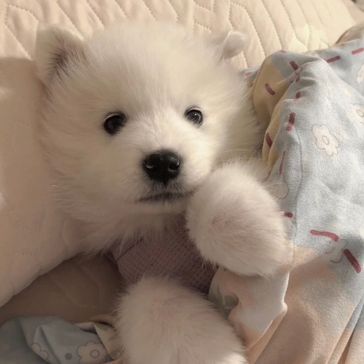 กุ้ดม๋านิ่งค้าบเบบี๋ 😗