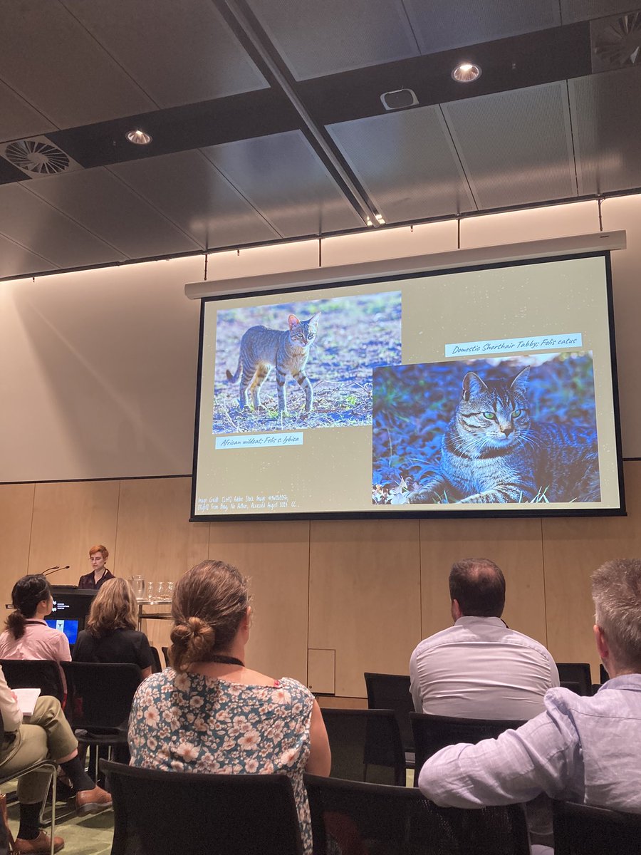 Zoë van Litsenburg tweet media