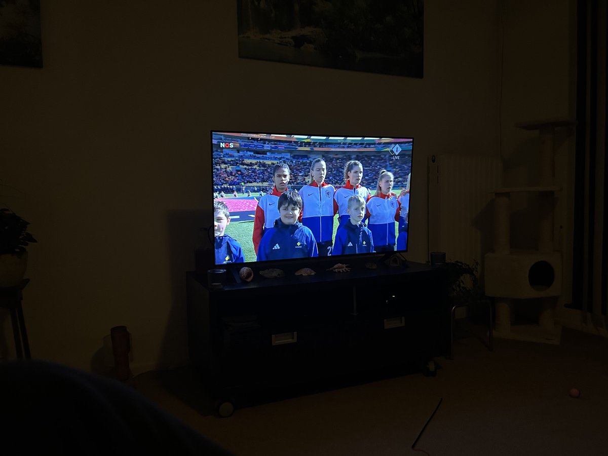 Mpvanderwal's tweet image. Hup @oranjevrouwen #FIFAWWC #Oranje #spaNED