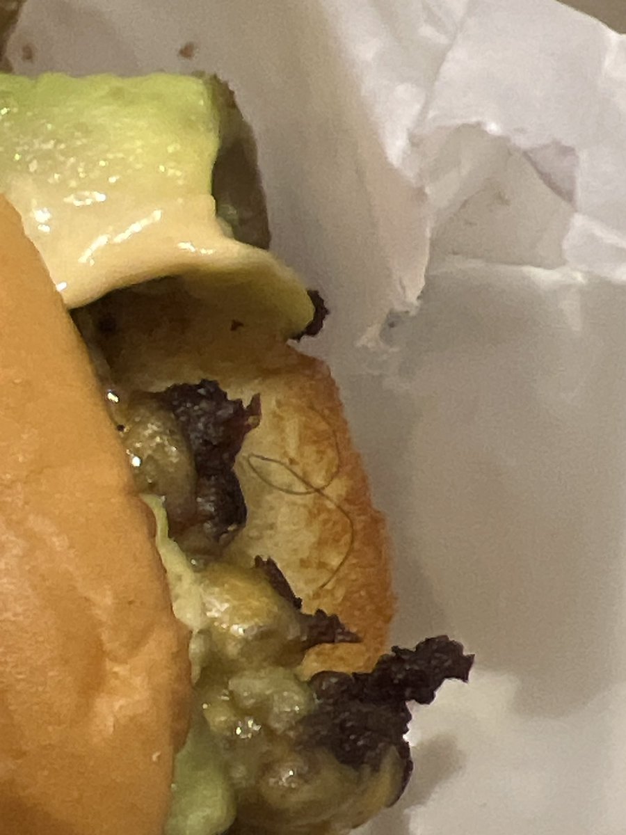 yolicotray's tweet photo. @shakeshack ordered from Bed-Stuy BK, they 4got 2 proteins &amp; burger is burnt dry around the edges, was starving so I ate half before realizing a hair on the edge of the bun.  Over all VERY disappointed with the lack of service and care, especially at such a new location. https://t.co/I0URzoljWl