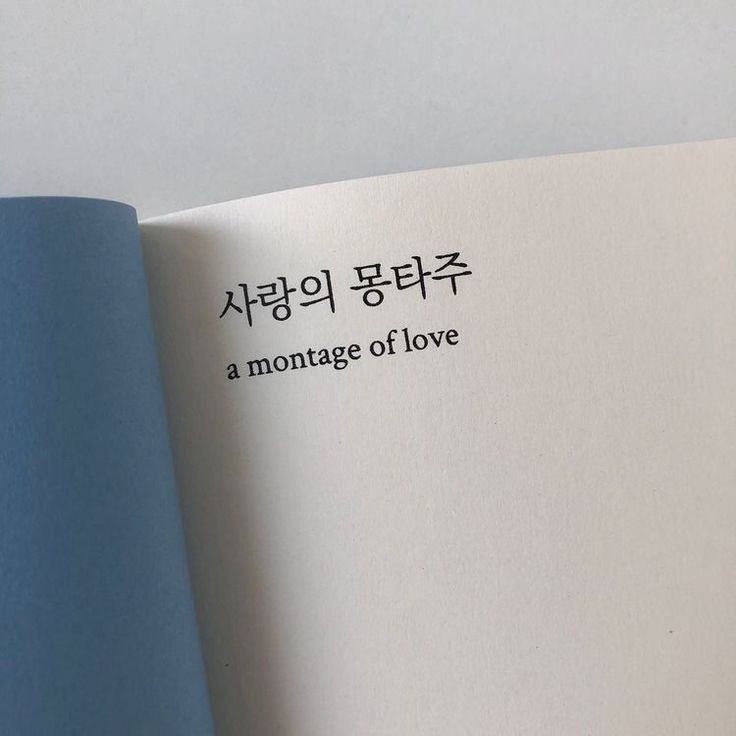 Sofy | 황현진 ⋆★⋆ tweet media