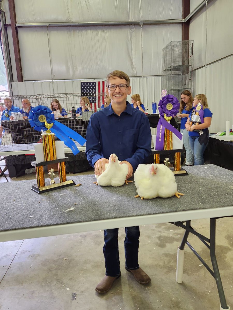 Was a good day at the Henry Co. Fair grand champion and grand champion overall market poultry #happykid #prouddad  #nwohio