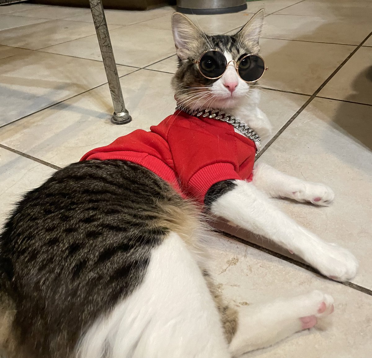jaxzminee2's tweet photo. twitter had to see this 😻 https://t.co/8JfJDwMCE6