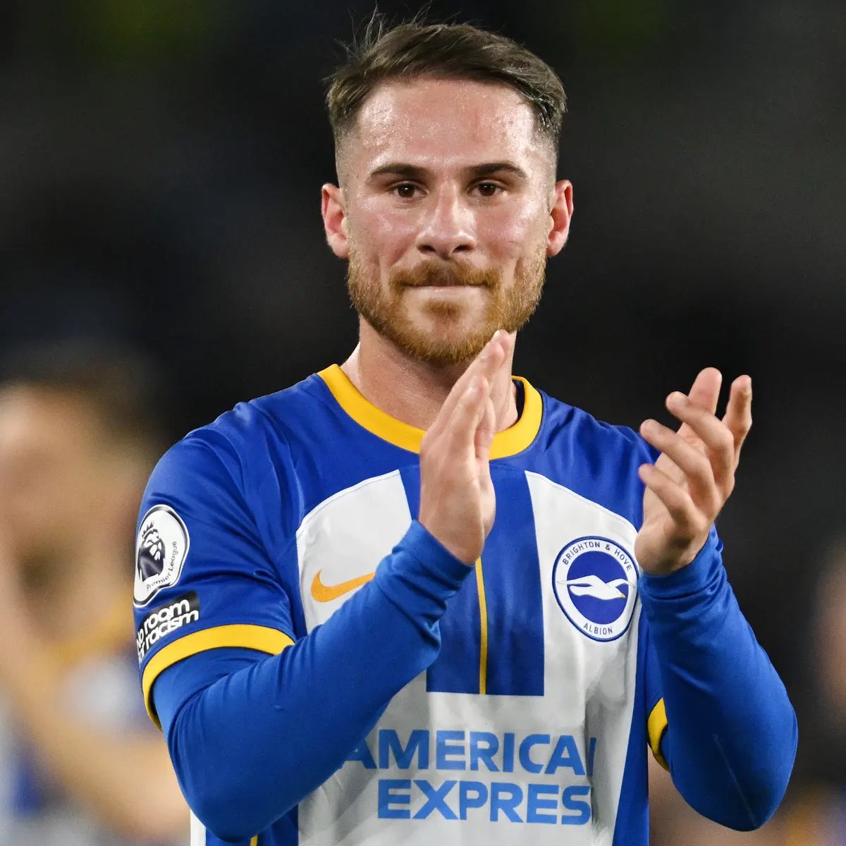 Brighton Bubble tweet media