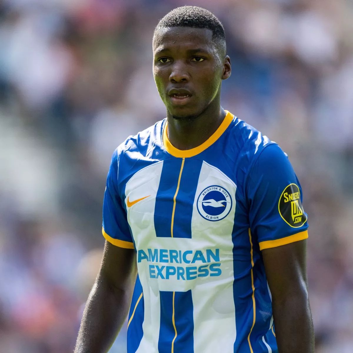 Brighton Bubble tweet media