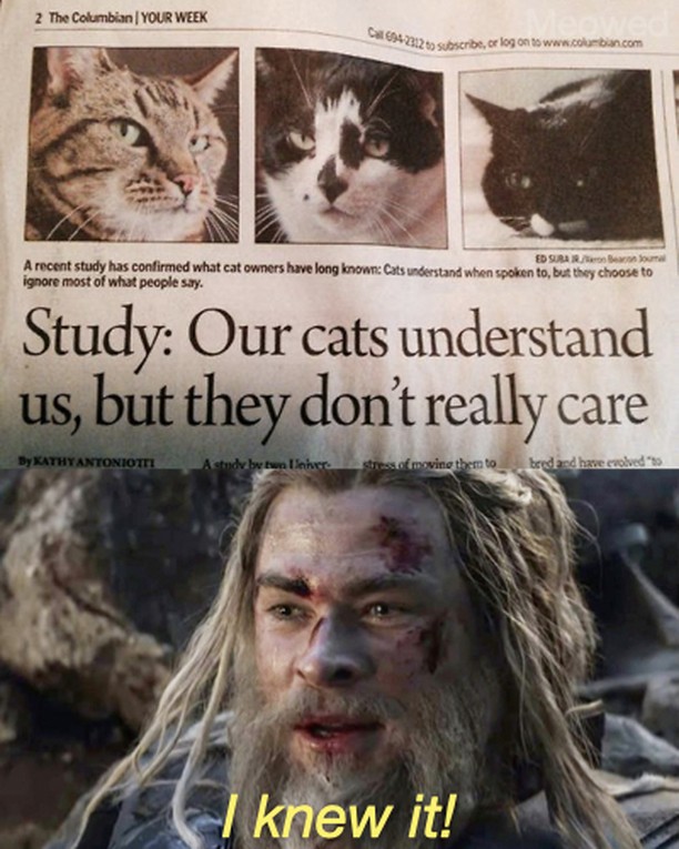 Meowed's tweet photo. Science

#meowed #TheMeowedClub https://t.co/Ne9xmWKXdP