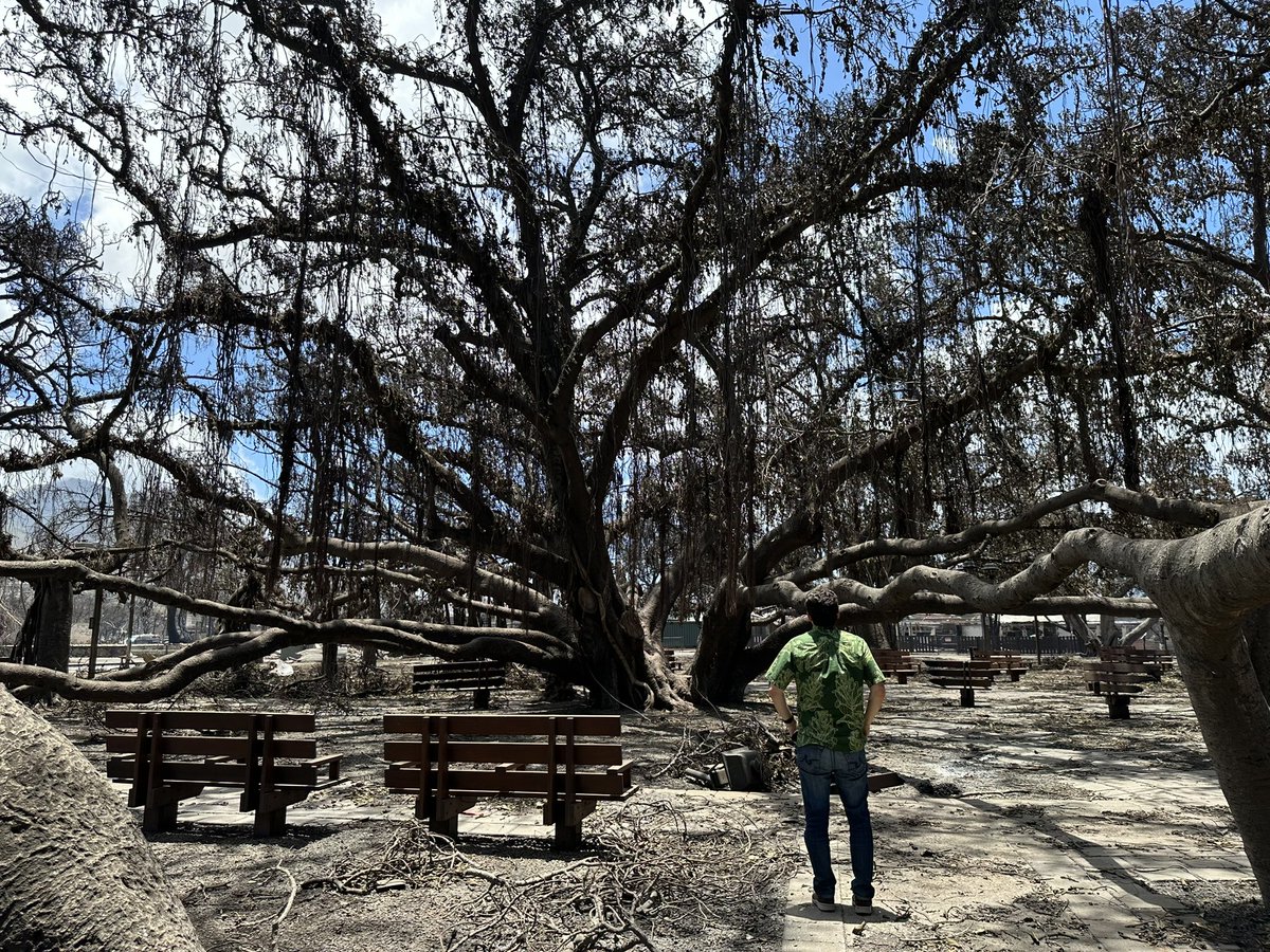 SenBrianSchatz's tweet photo. Lahaina Town has been reduced to ashes. It’s absolutely heartbreaking. The recovery process will be long, but we’re committed to these families and communities. https://t.co/1800hl4IxI