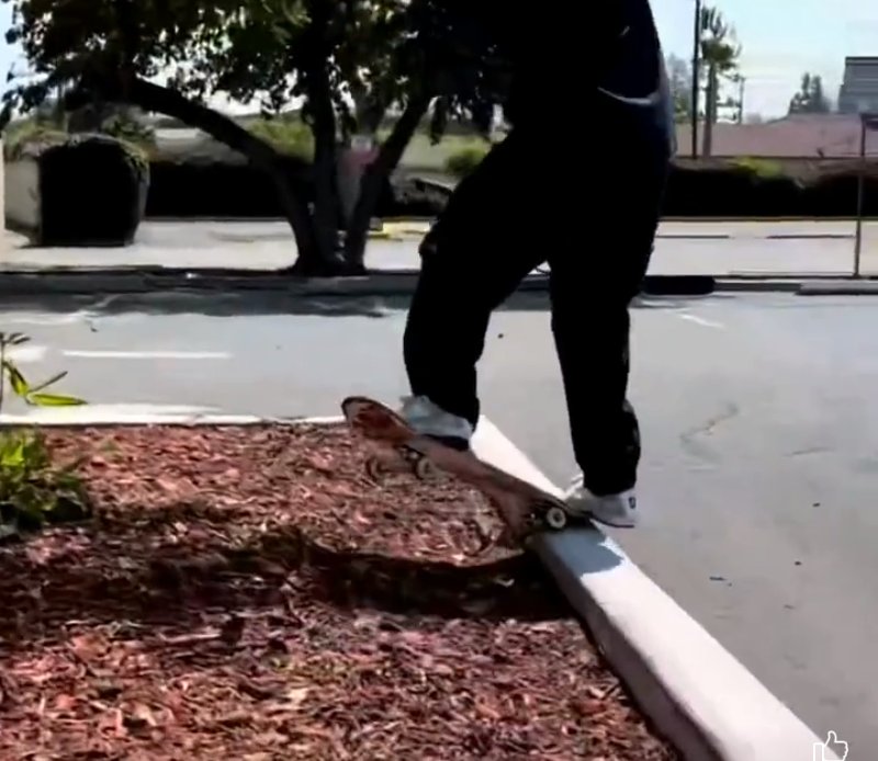 TylerBradleyDIS's tweet photo. Do you think I can do this trick? https://t.co/y61JjhIsDd