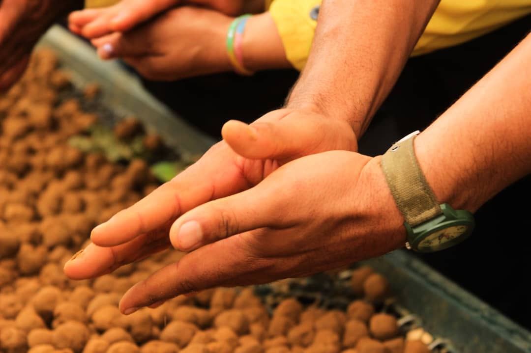 1/2 Como parte de las acciones del Plan de Rescate, Conservación y Desarrollo Sostenible del Lago de Maracaibo, en el Parque de Recreación Burro Negro, del municipio Lagunillas, comenzamos con la elaboración de los primeros 50.000 avíos. <a href="/NicolasMaduro/">Nicolás Maduro</a> <a href="/delcyrodriguezv/">Delcy Rodríguez</a>