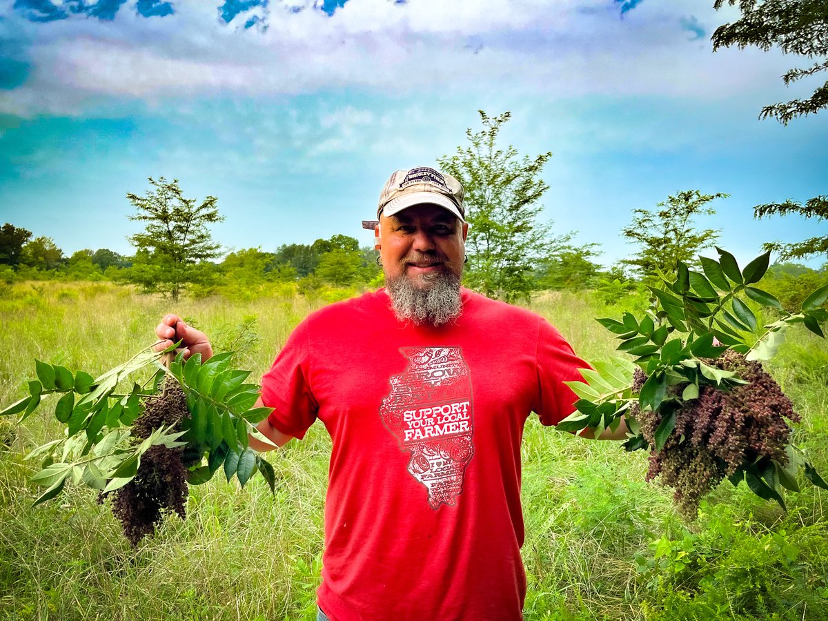 Some monster sumac heads.  Everything seems a few weeks early this year.