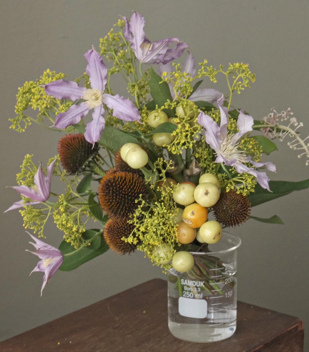 오차원ochawon tweet media