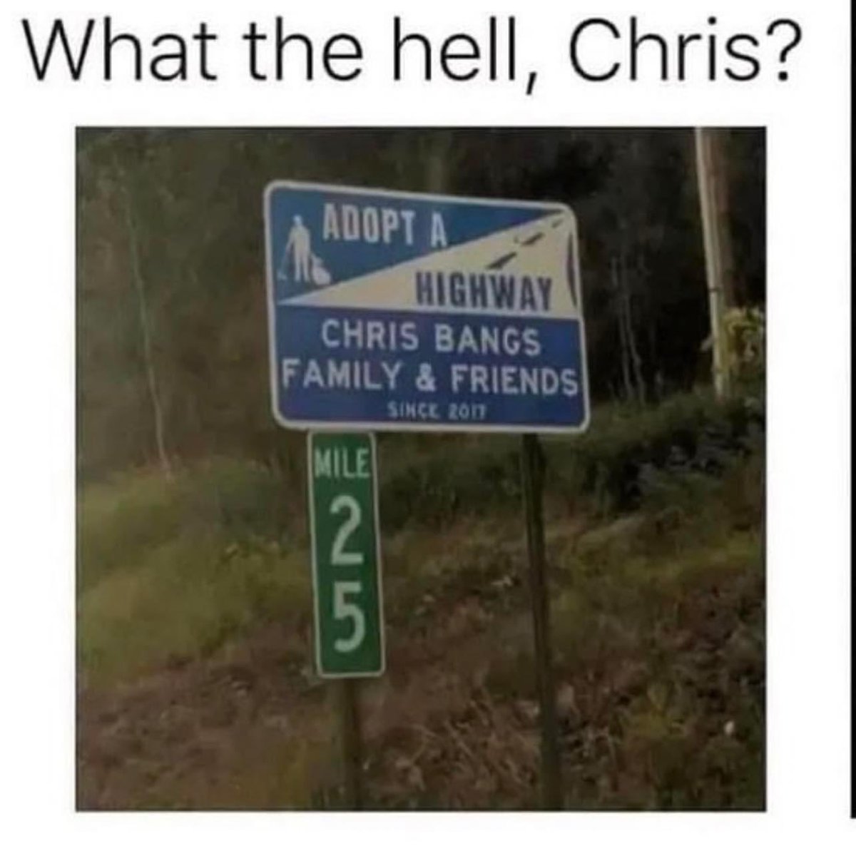 Nancy Blanchard🇨🇦🇺🇸 tweet media