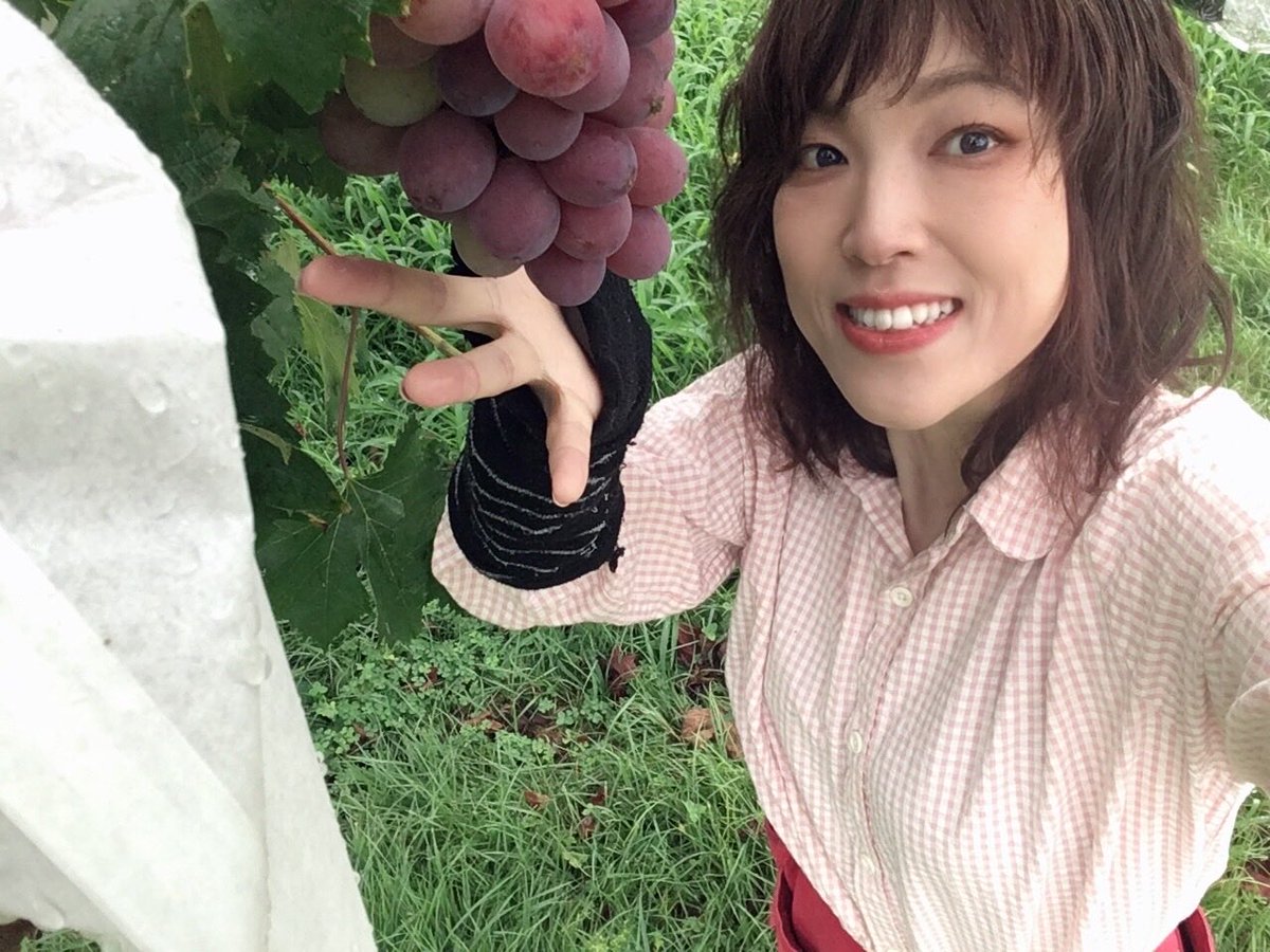 Grape_seto77888's tweet photo. サニールージュを出荷したい！と畑に出た😉自分で詰める！

ちなみに繁忙期に髪もぐしゃぐしゃな私、セットが楽だと聞いたので先日パーマチャレンジを何年かぶりにしたんだけどケアやっぱり出来ずにパーマ取れるorアフロにしかなる気しかしない😂
まだ今はカール持ってる笑
#のらスタイル #エプロン https://t.co/xcZGIPbXAd