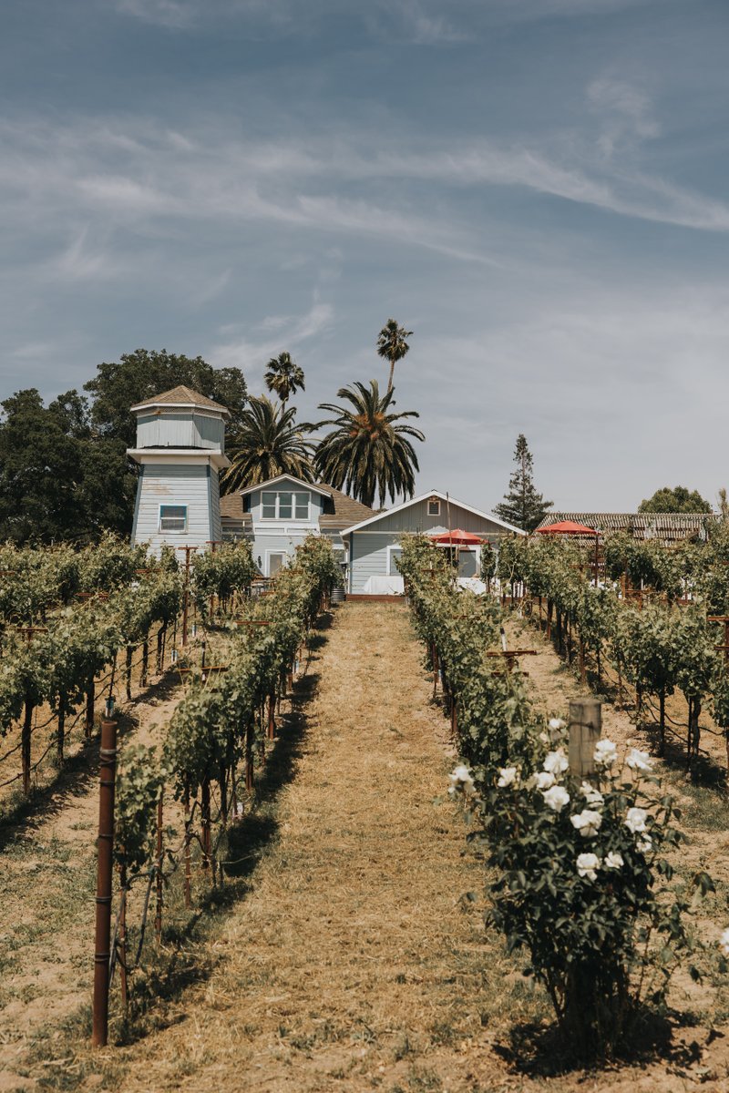 Kobler Estate Winery tweet media