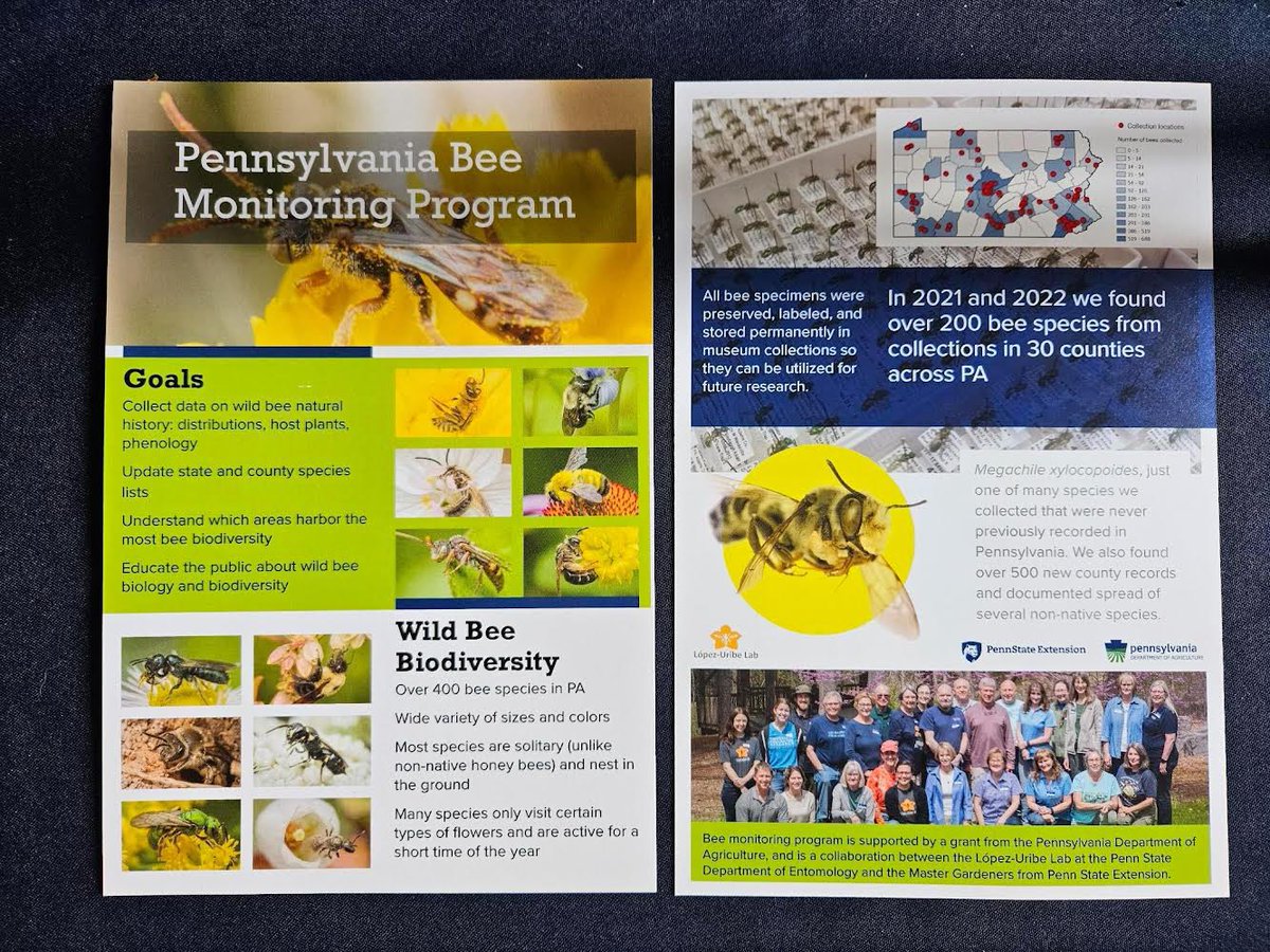 Lopez-Uribe Lab (@lopezuribelab) on Twitter photo Our lab talking about bee diversity and management at Ag Progress Days #ADP2023 <a href="/agsciences/">Penn State College of Agricultural Sciences</a> Our lab talking about bee diversity and management at Ag Progress Days #ADP2023 <a href="/agsciences/">Penn State College of Agricultural Sciences</a>