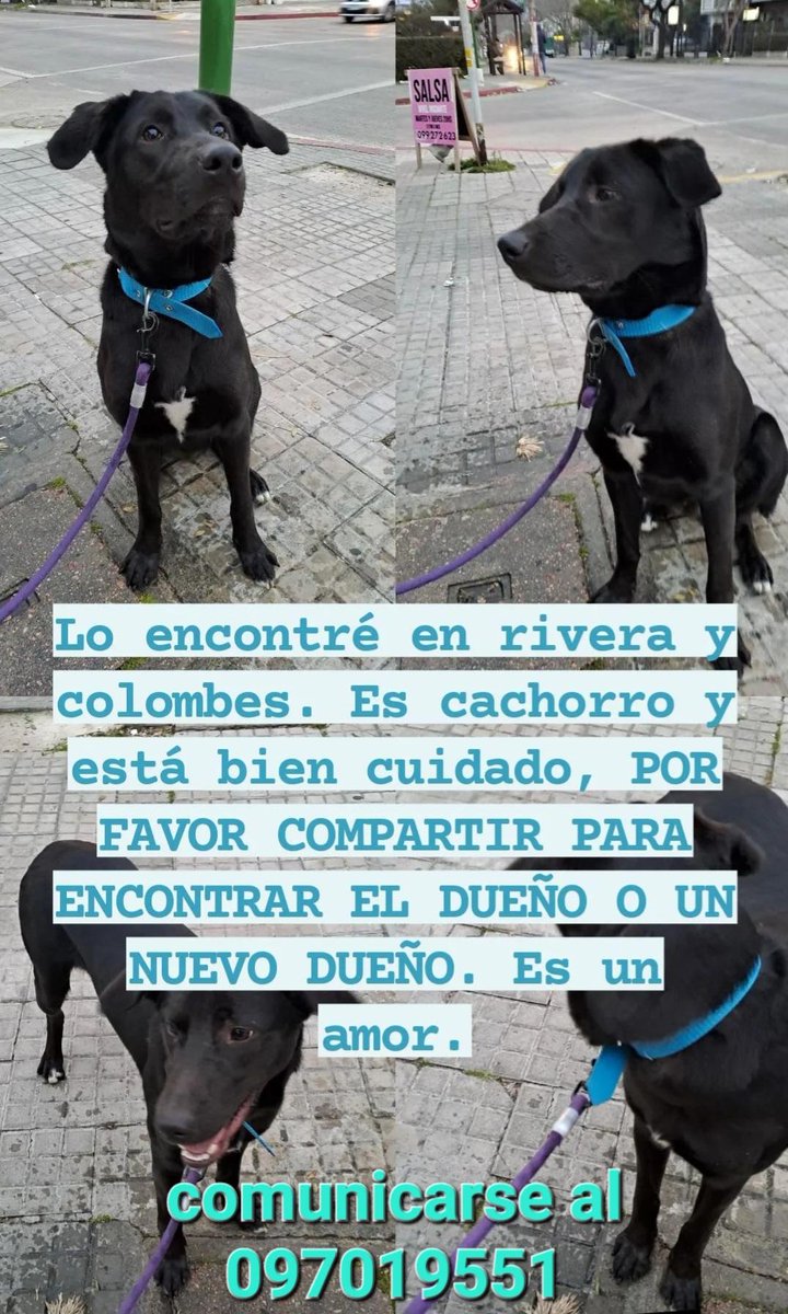 Roanas (@roanas64) on Twitter photo 