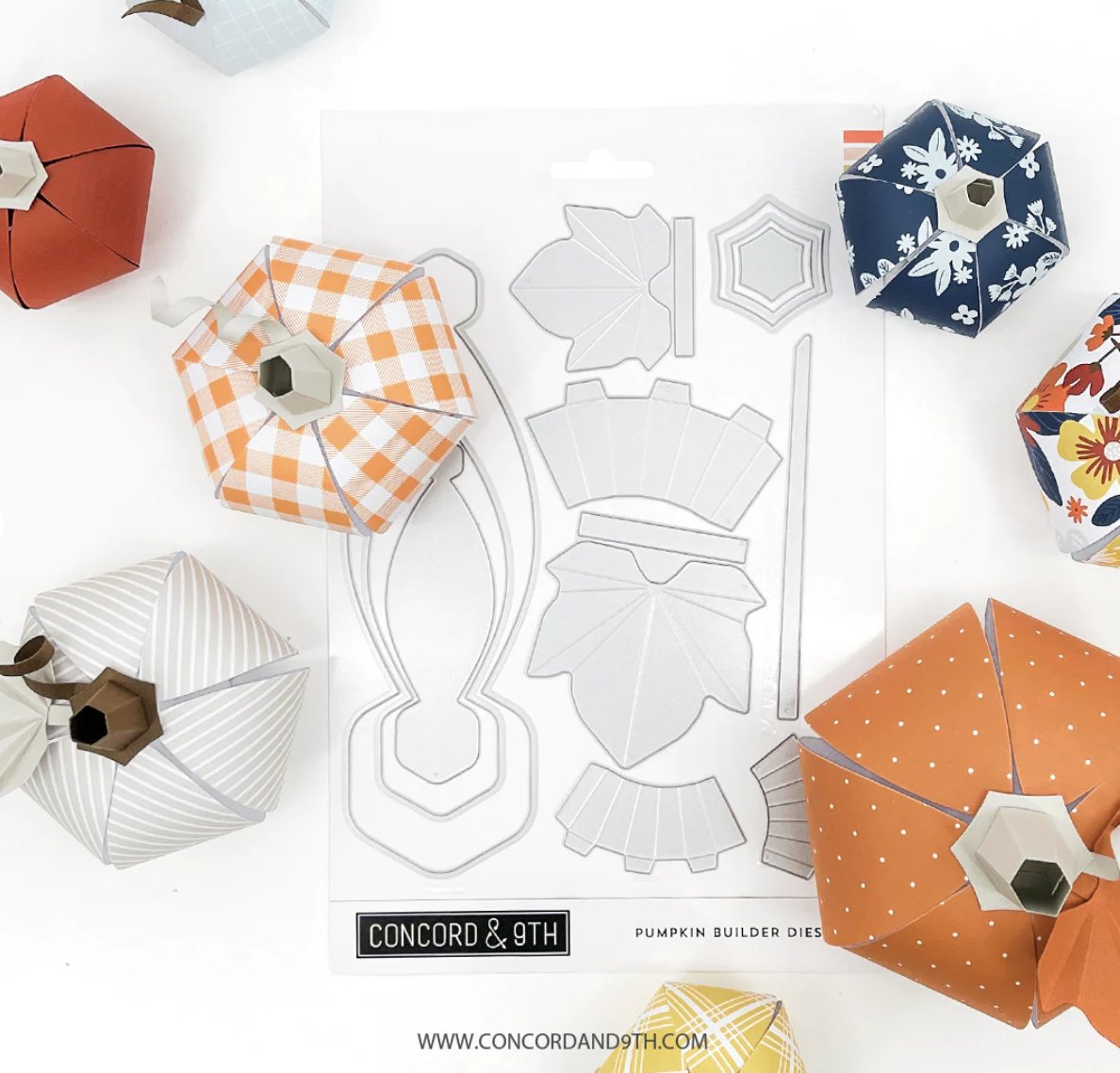 CraftsUnleashed's tweet photo. Make these super cute 3D pumpkins from Concord &amp; 9th Pumpkin Builder Dies [affiliate] https://t.co/IPWJvWejD6

#pumpkin #pumpkindecor #pumpkinseason #pumpkineverything #diycrafts #crafting  #crafts #craftersgonnacraft #crafty #craftsupplies #craftingfun #papercrafts https://t.co/Bmhb0aiKT5