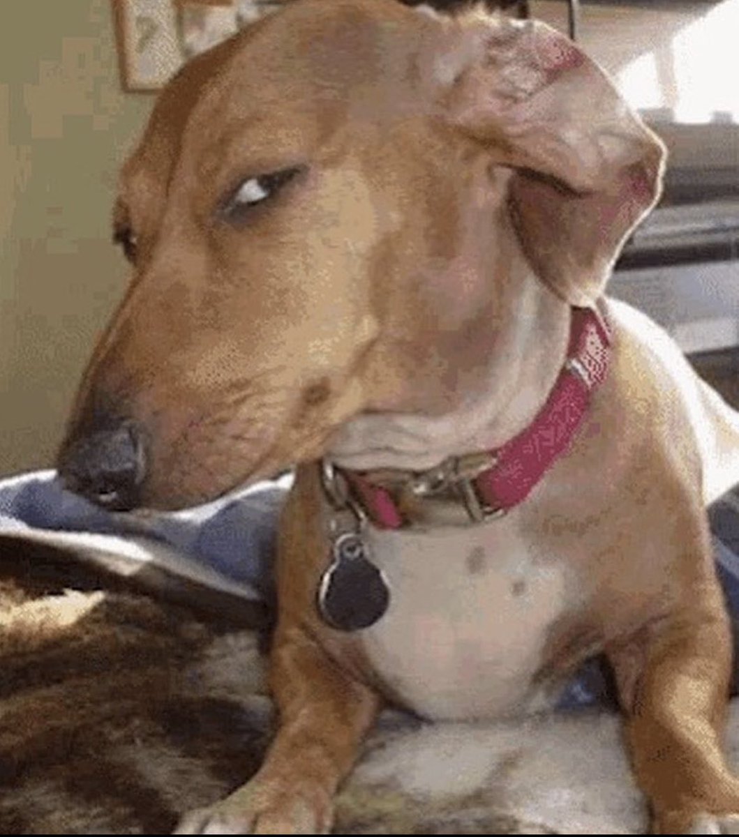 jacob knickerbocker tweet media