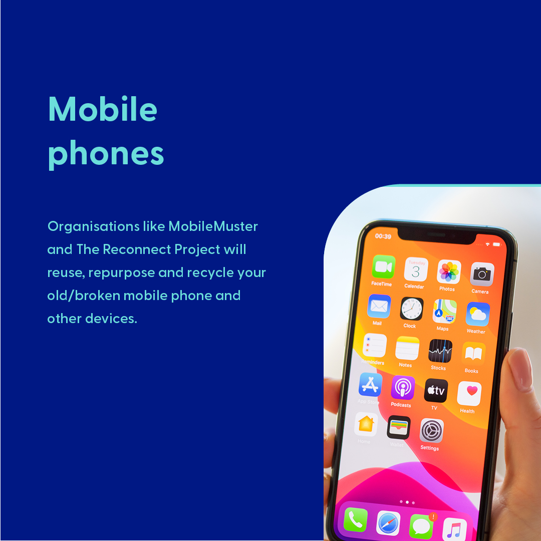 Utilitarian.World tweet media