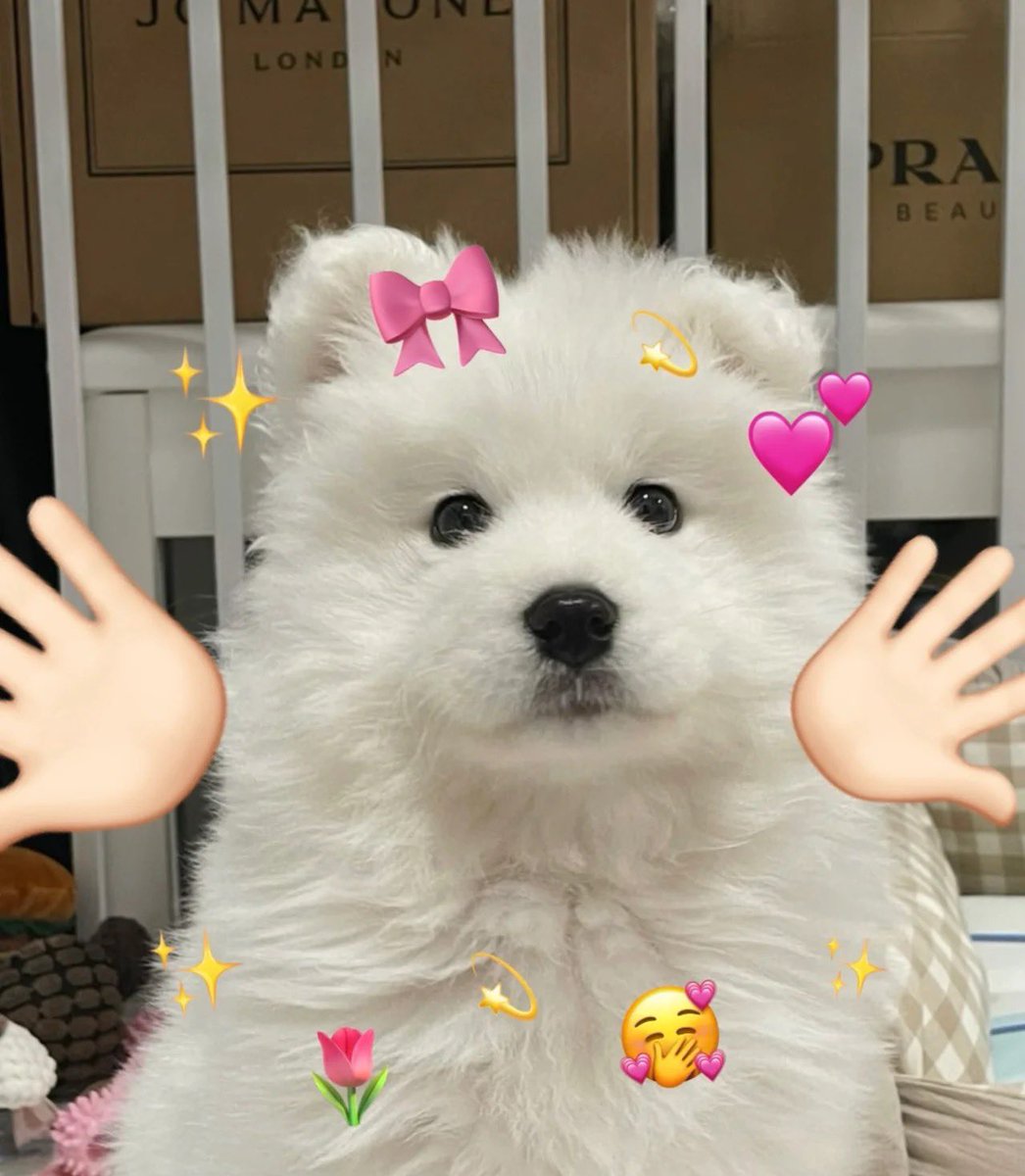 วันสุขแล้ว ดูหน้าจ๋องเราแล้วขอให้เป็นวันดีๆ