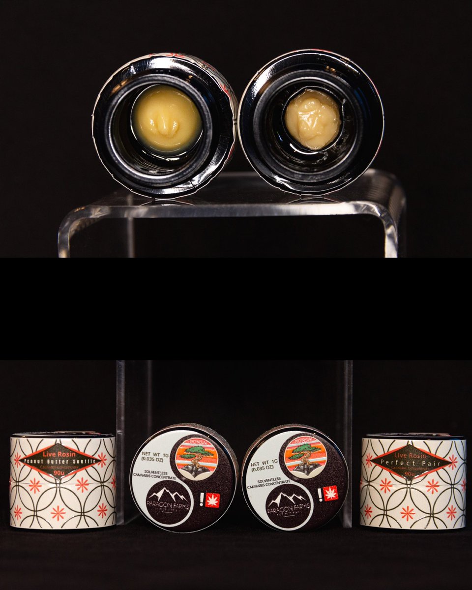 The Perfect Pair ~ Paragon Farms x <a href="/BonsaiOregon/">bonsai oregon</a> collab 🔥🙌🏼
Required Warning: Do not operate a vehicle or machinery while under the influence of marijuana. Keep marijuana out of reach of children.
#cookies #cookieseugene #cookiesoregon #eugeneoregon #oregon #pnw