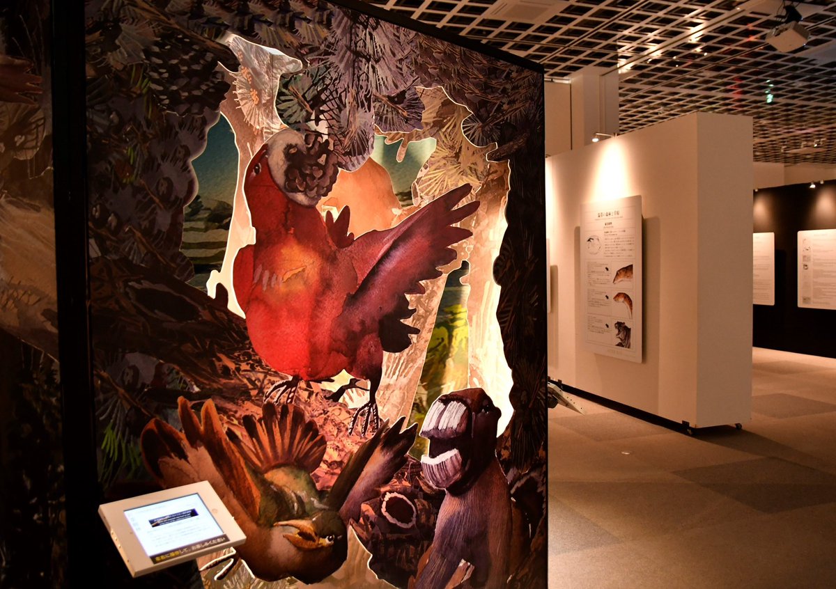 もうすぐお盆！
青森へ帰省される方もいらっしゃる頃でしょうか？

アフターマン展青森、好評開催中です！
お子様から大人まで、 わくわくドキドキできること間違いなし⁉️

ご家族そろって、ぜひご来場ください📷
#アフターマン展 #アフターマン展青森 #青森県 #青森市