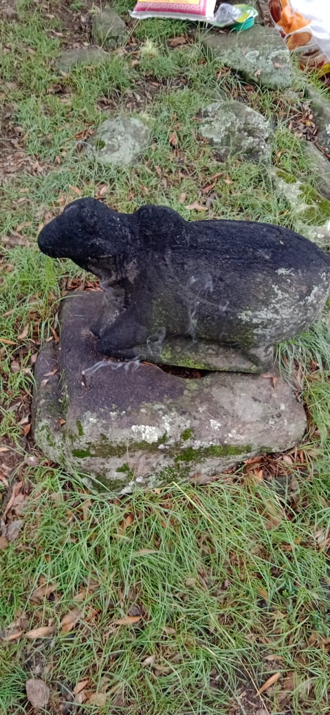 DeepManhas's tweet photo. Archaeological Survey of India (ASI) paid a visit to Bani at village Parnote in subdivision Thathri. The team explored this sacred/ancient site and clicked photographs of idols and various engravings. Eagerly waiting for a positive response from ASI. https://t.co/XpS39tM9D0